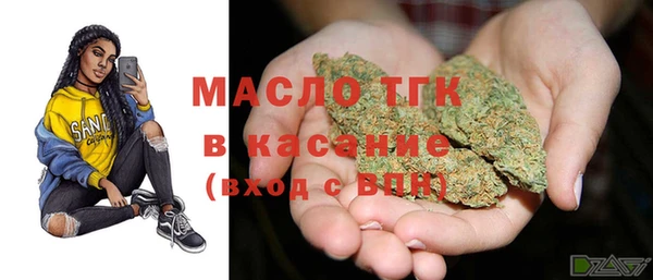 индика Гусь-Хрустальный