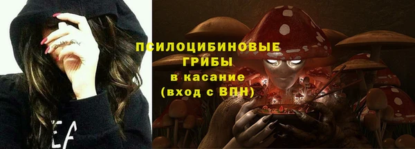 эйфоретик Гусиноозёрск
