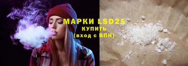 индика Гусь-Хрустальный