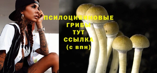 каннабис Гусев