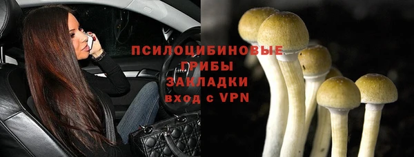 каннабис Гусев