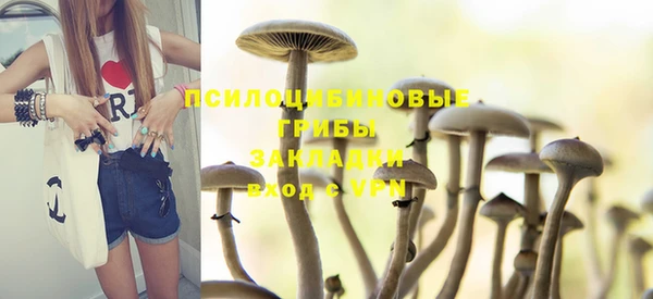 МДПВ Горнозаводск