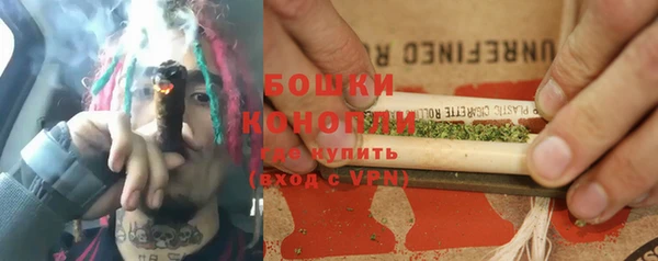индика Гусь-Хрустальный
