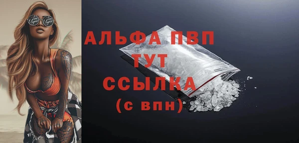 индика Гусь-Хрустальный