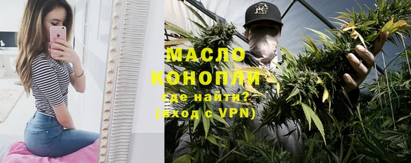 индика Гусь-Хрустальный