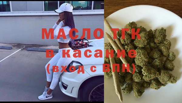 индика Гусь-Хрустальный