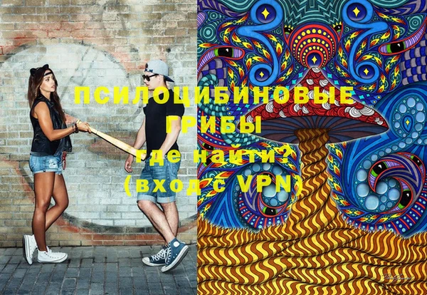 прущие крисы Вяземский
