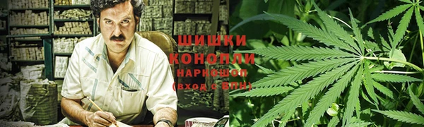 индика Гусь-Хрустальный