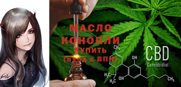индика Гусь-Хрустальный