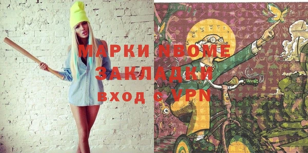 индика Гусь-Хрустальный