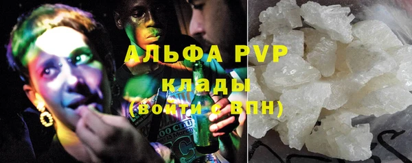 индика Гусь-Хрустальный